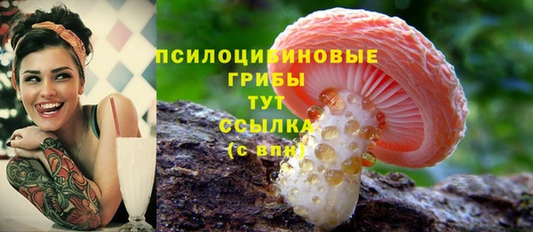 круглые Богданович